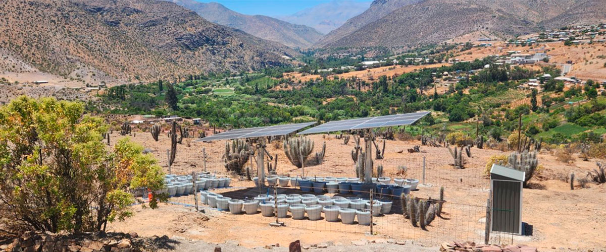 Cultivando futuro con energía solar: USerena y UChile apuestan por el agrivoltismo en Río Hurtado
