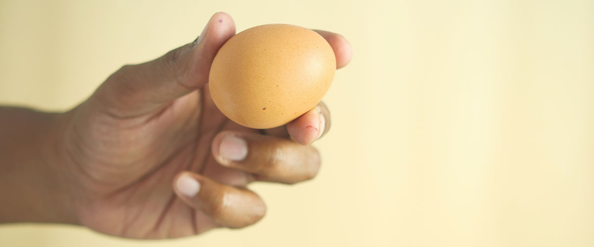 Seguridad alimentaria: tráfico ilegal de huevos desde Bolivia alerta a expertos por grave riesgo sanitario 
