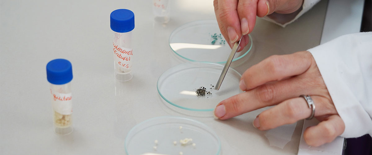 Buscan utilizar residuos marinos como agentes descontaminantes de la industria minera