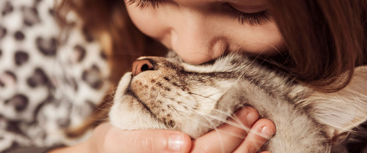 Universidad de La Serena coorganiza los X Coloquios de Derecho Animal y será sede de la segunda jornada del encuentro