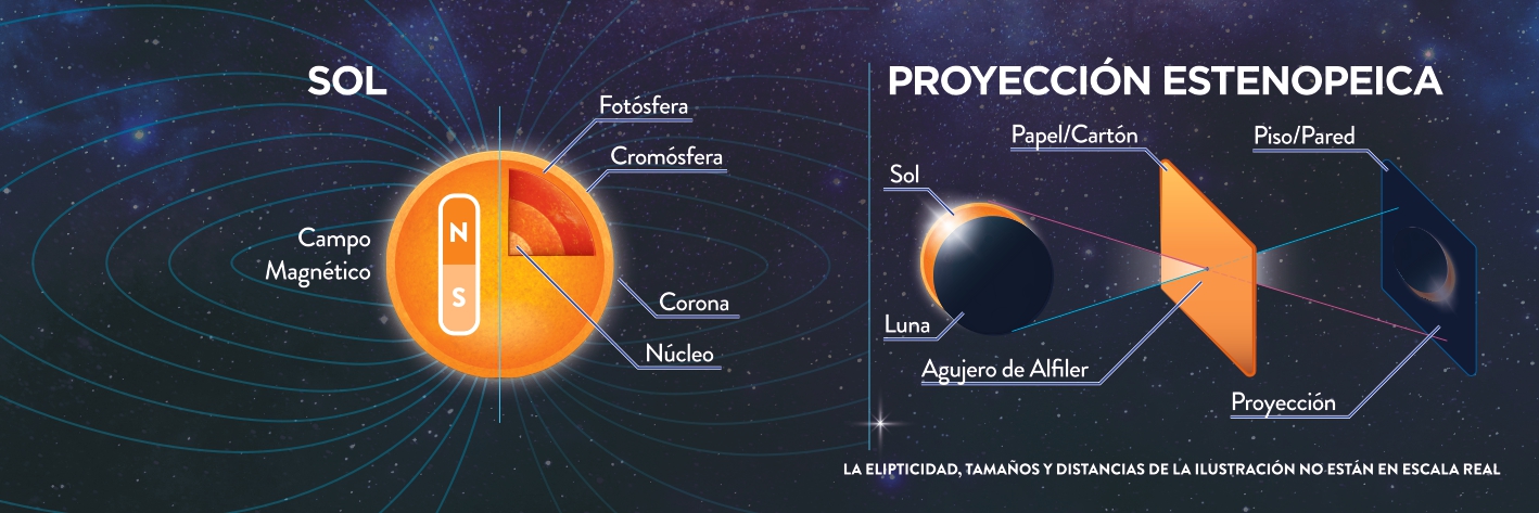 Abanico 11