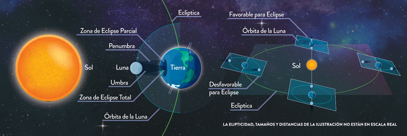 Abanico 9