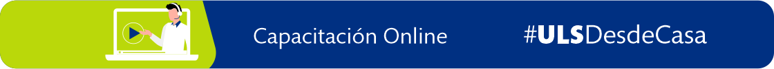 capacitacion online btn