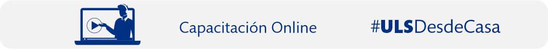 capacitacion online img