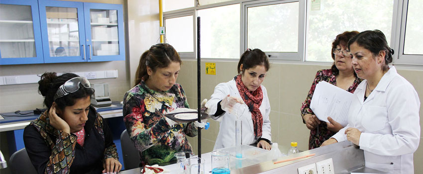 quimica entretenida 1