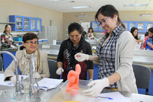 quimica entretenida 2