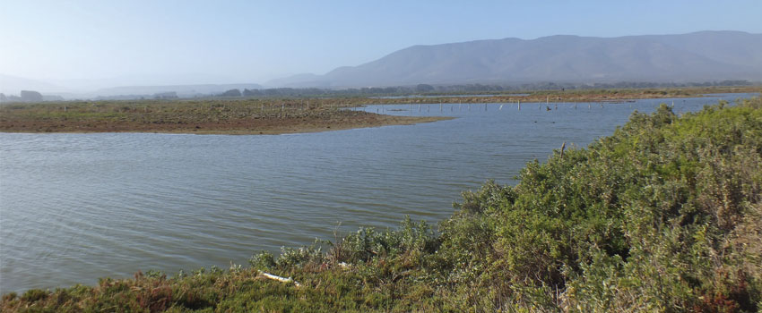 huentelauquen