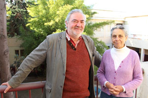 andacollo 2