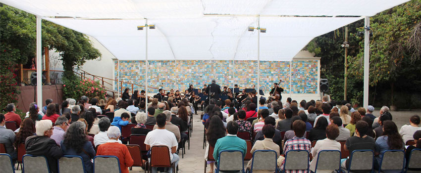 concert orchestra 1