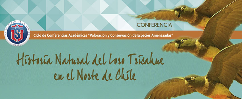 charla loro tricahue 2