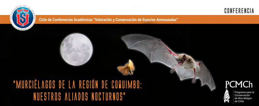 conferencia murcielagos