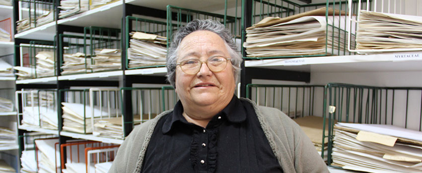 gina