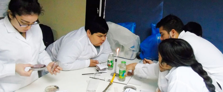visita biologia