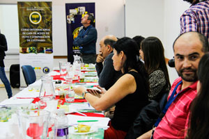 curso cata3