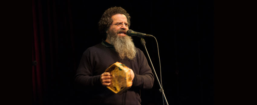 talo pinto 