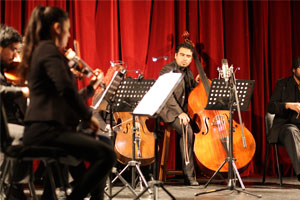 2concierto camara3