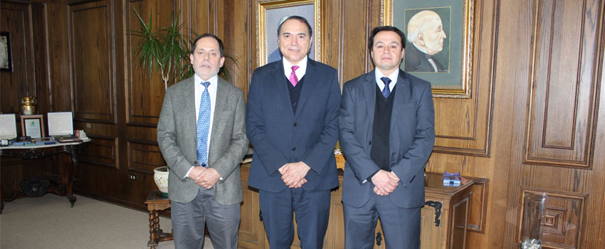 serviciosalud