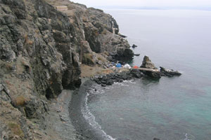 arana3
