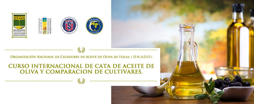 cata aceite