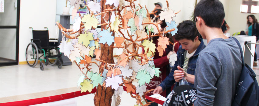 cultura enfermeria