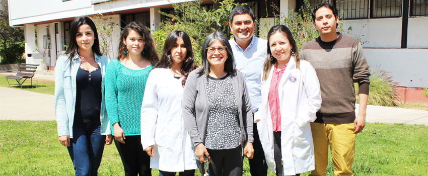 equipo1