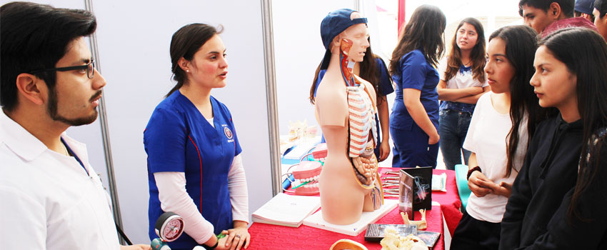 expo uls