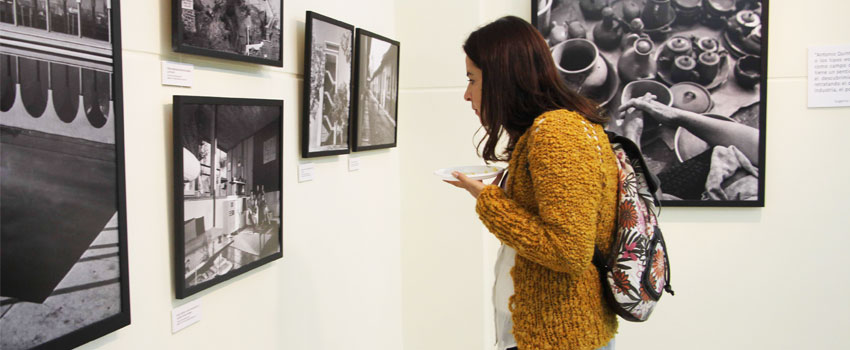 ciclo expo