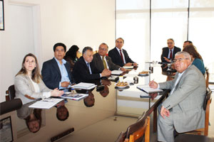 dir pmi2