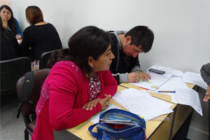 profesores vicuna2