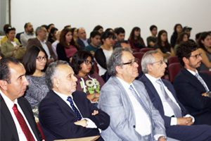 electivo ineergias2