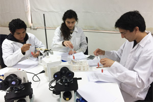 III olimpiadas bio2
