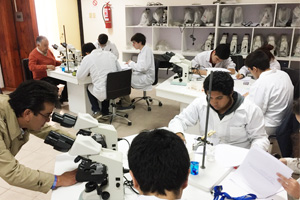 III olimpiadas bio3