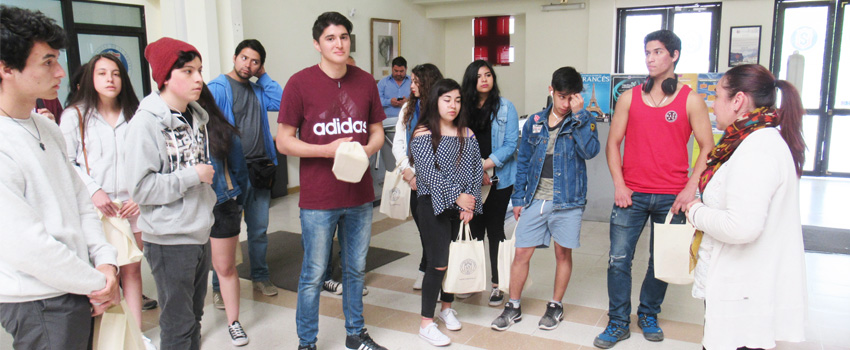 colegio chile chico