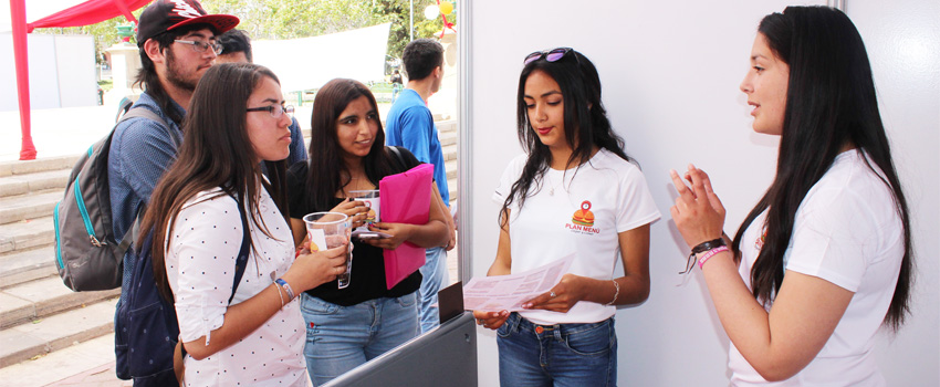 feria ideas
