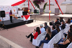 feria ideas3