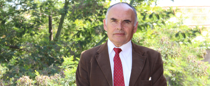 mario arenas