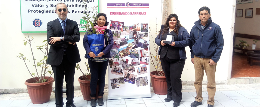 comite paritario