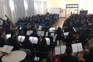 programamusical 2