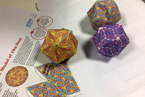 taller inmunologia3