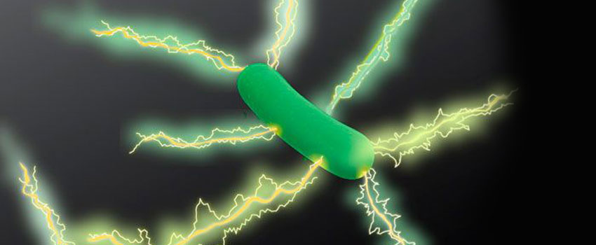 taller biologia b