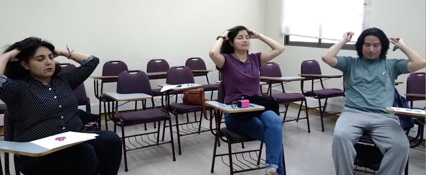 talleres ose