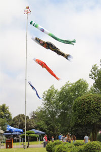 koinobori2