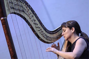 violin2 harp