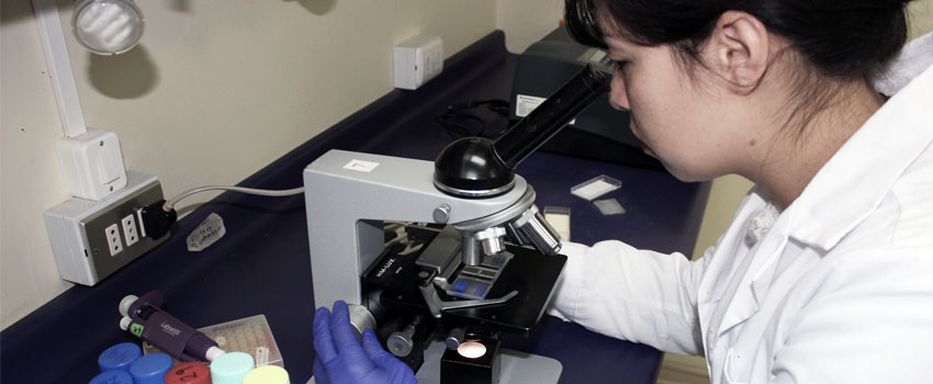 diduls laboratorios