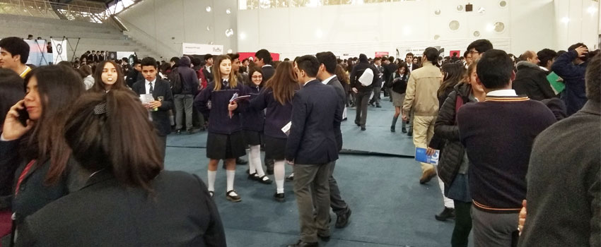 colegio amalia