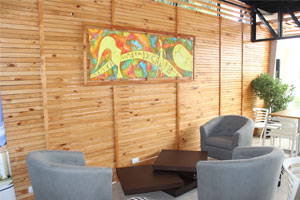 terraza emg2