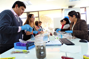 bacterias3
