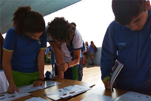 feria antofagasta2