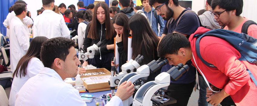 muestra parasitos