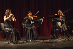 ensamble d2